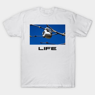 For coffee love, coffee is Life T-Shirt